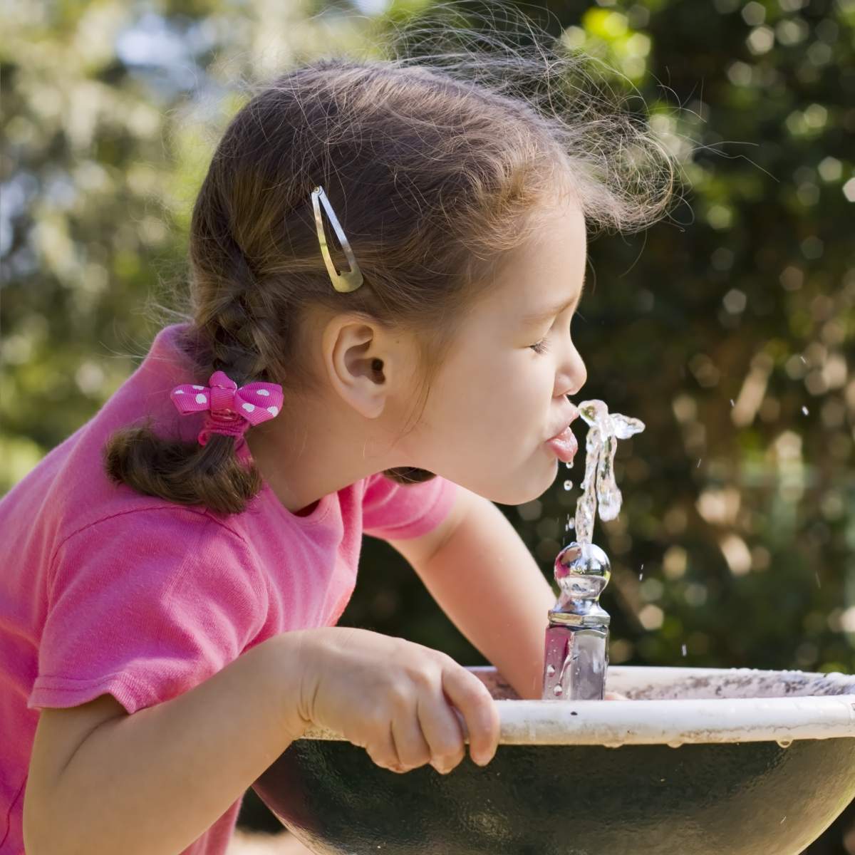 Understanding Behavior Water Line How-To Tips for Identifying and Testing Water Service Lines - Erie ...